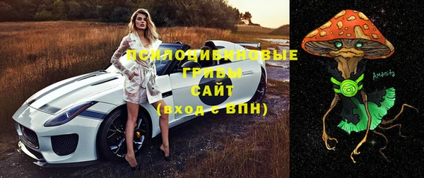 герыч Арсеньев