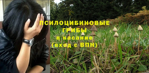 герыч Арсеньев