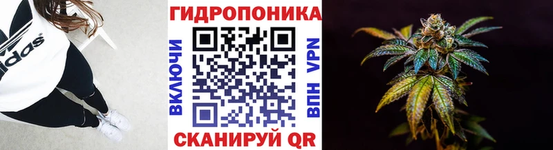 darknet как зайти  Почеп  Бошки марихуана AK-47 